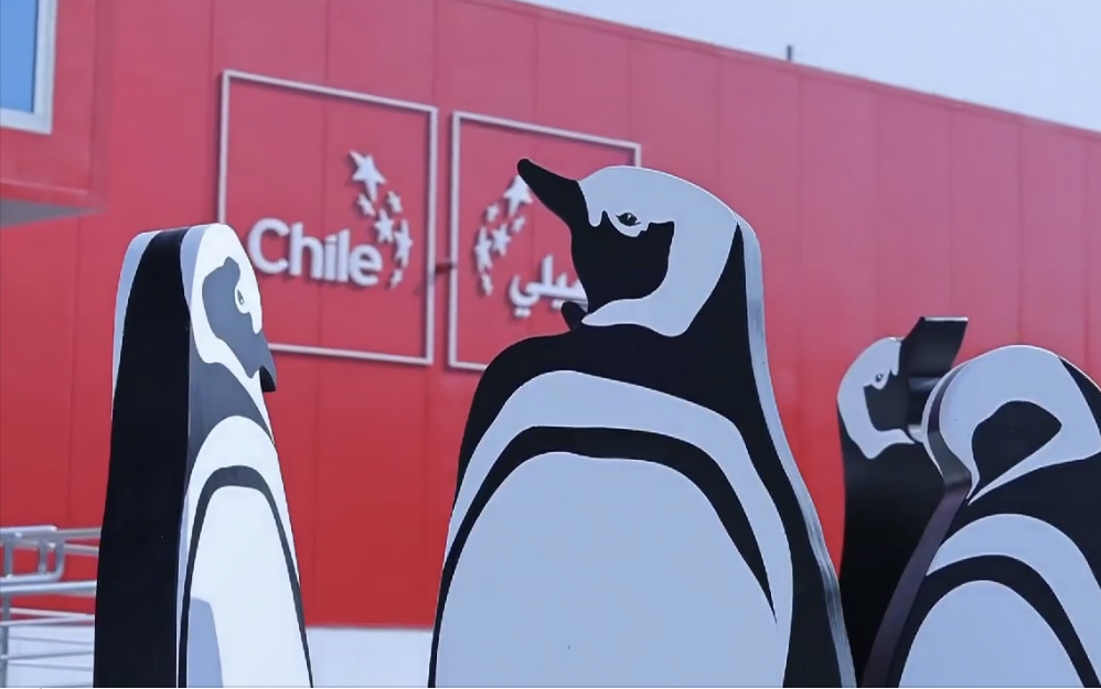 I pinguini di Pigafetta | EXPO 2020 | Dubai