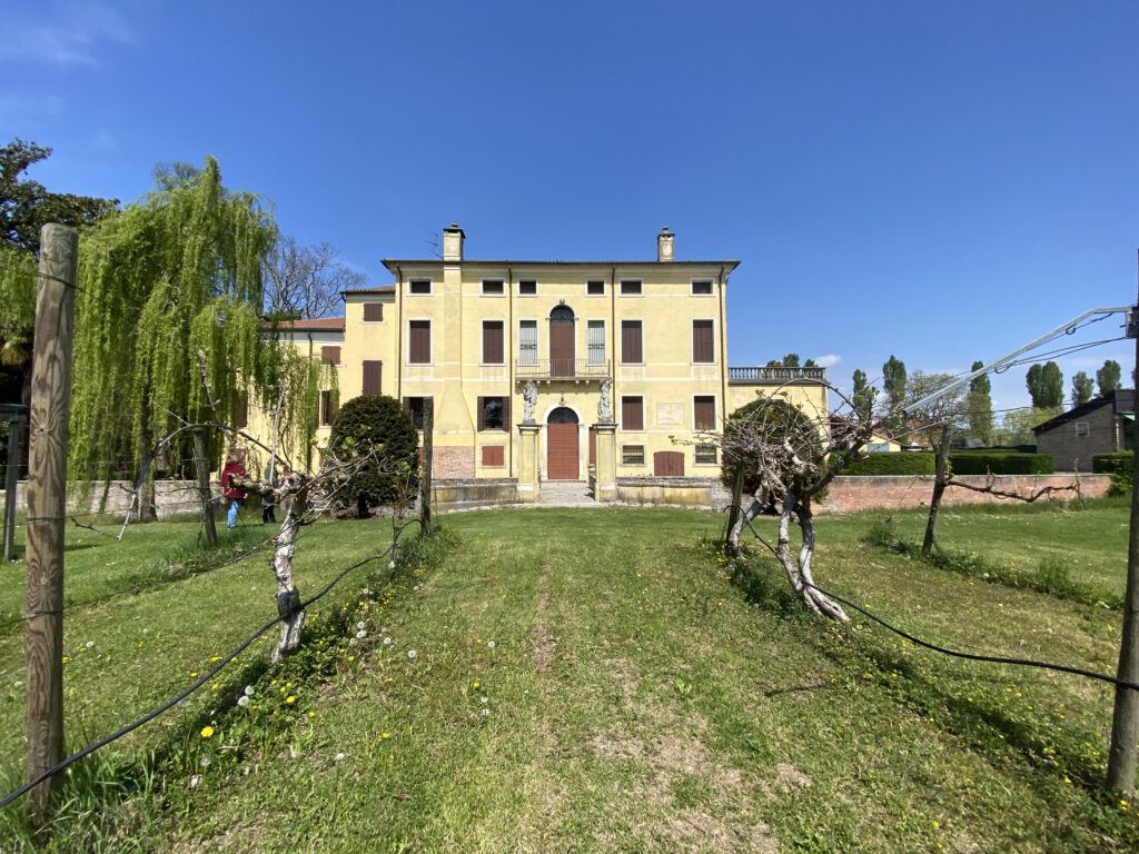 Villa Selvatico | Codiverno di Vigonza